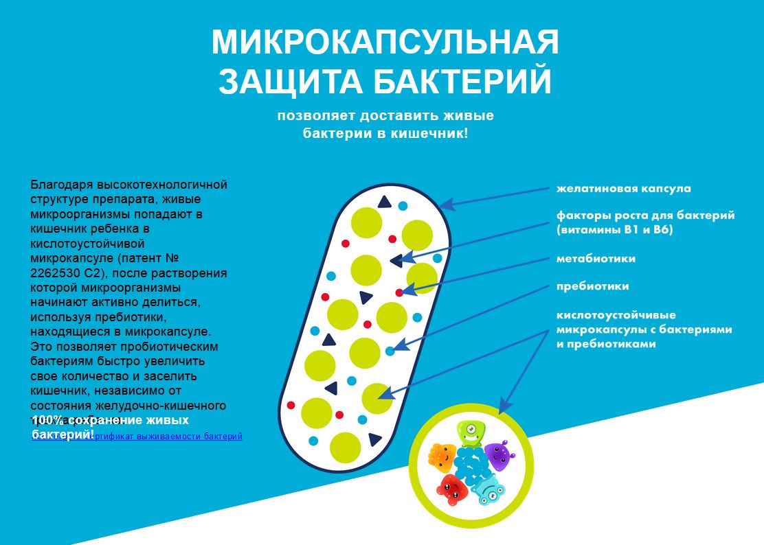  Инулин — органическое вещество из группы полисахаридов, не переваривается пищеварительными ферментами организма человека  и относится к группе пищевых волокон.  Фибрегам — волокно, получаемое из смолы акации, т.е. экссудат, выделенный из деревьев акации (Leguminosae), относится к группе пищевых волокон.  Бета-глюкан — полисахарид мономеров D-глюкозы. Бета-глюканы — эффективные иммуномодулирующие агенты, широко используемые в медицинской практике во всем мире. Открытие этой группы натуральных активных веществ с минимумом побочных эффектов с точки зрения современной медицины очень важно. Эффективность лечения и профилактики многих заболеваний бета-глюканами основана на коррекции неустойчивости иммунной системы и неоднократно подтверждена многими экспериментами и клиническими исследованиями.  Ультрализат пропионовокислых бактерий — это комплекс биологически активных веществ (экстракт, метабиотик), состоящий из гидролизированных бактерий и их метаболитов. В организме человека метабиотики используются в качестве питательной среды для бактерий и участвуют в обменных процессах организма ребенка (в виде витаминов, нейромедиаторов, короткоцепочечных жирных кислот). 