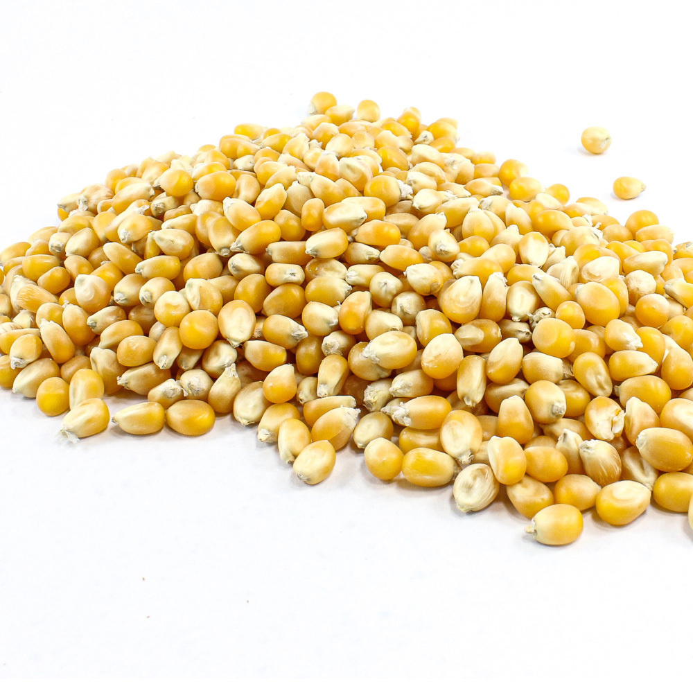 Крупное зерно кукурузы для попкорна. 2 кг. (Воздушной кукурузы)  #1