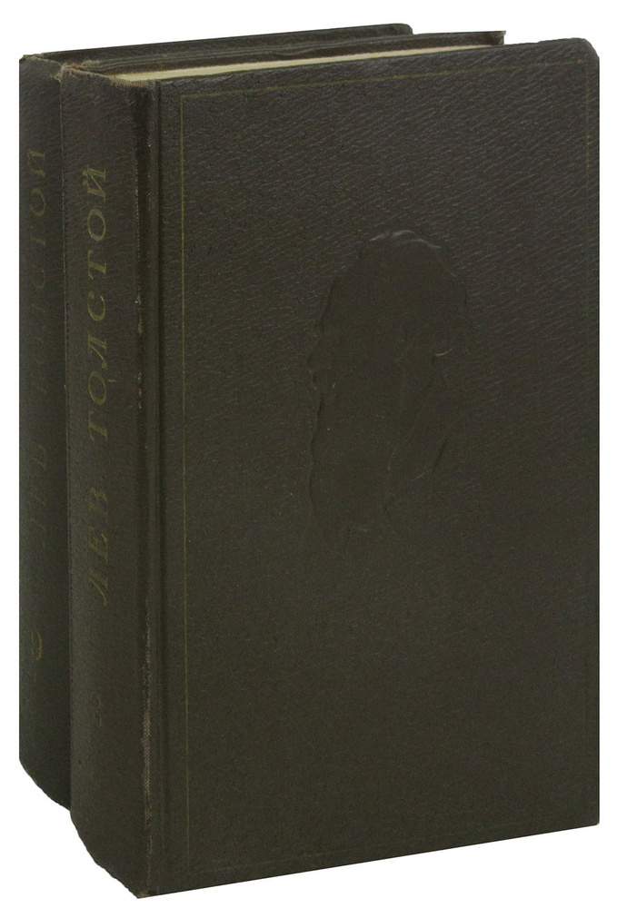Л. Н. Толстой. Собрание сочинений в 20 томах. Тома 8, 9. Анна Каренина (комплект из 2 книг) | Толстой #1