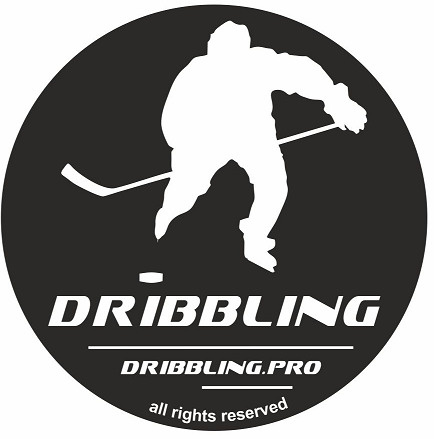 Dribbling Шайба хоккейная, 1 шт,  #1