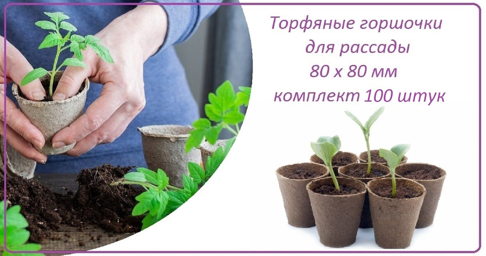 Горшочек торфяной 100 штук 80 х 80 мм, набор для выращивания рассады овощных и декоративных культур  #1