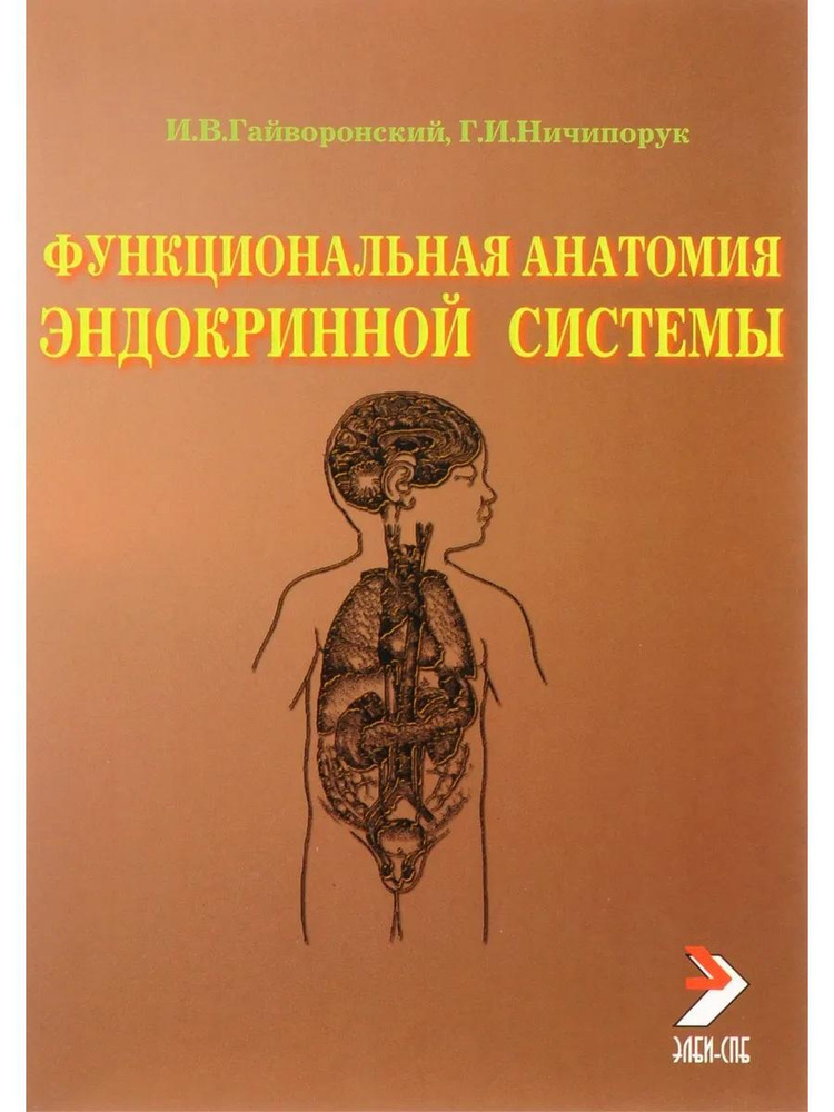 Функциональная анатомия эндокринной системы. Учебное пособие  #1