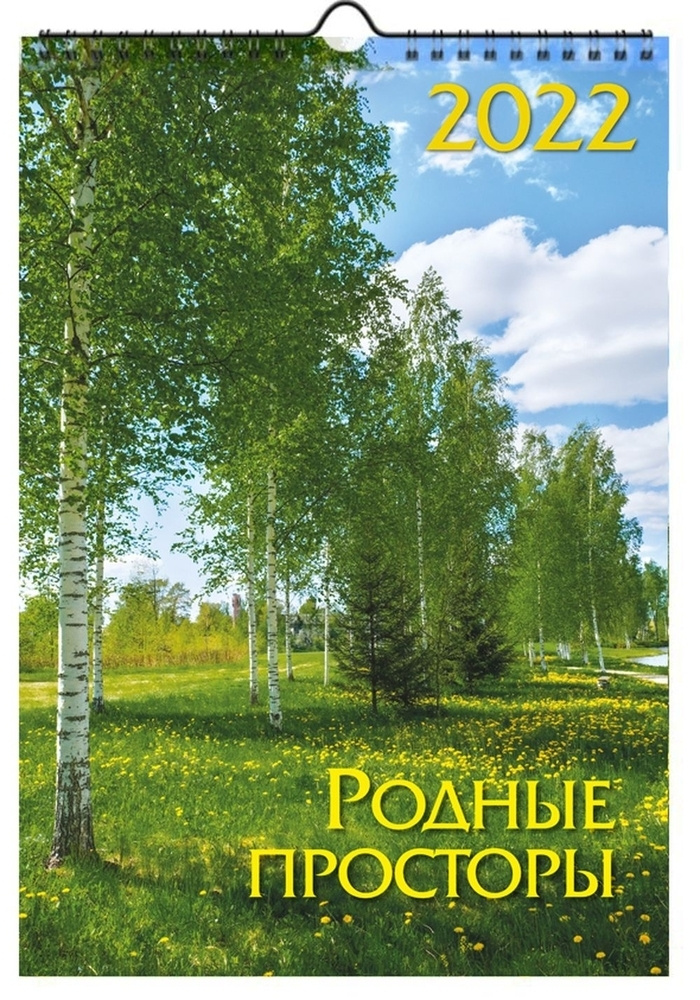 Календарь ND Play на 2022 год. Родные просторы (настенный, на спирали) 297х440х10 мм  #1