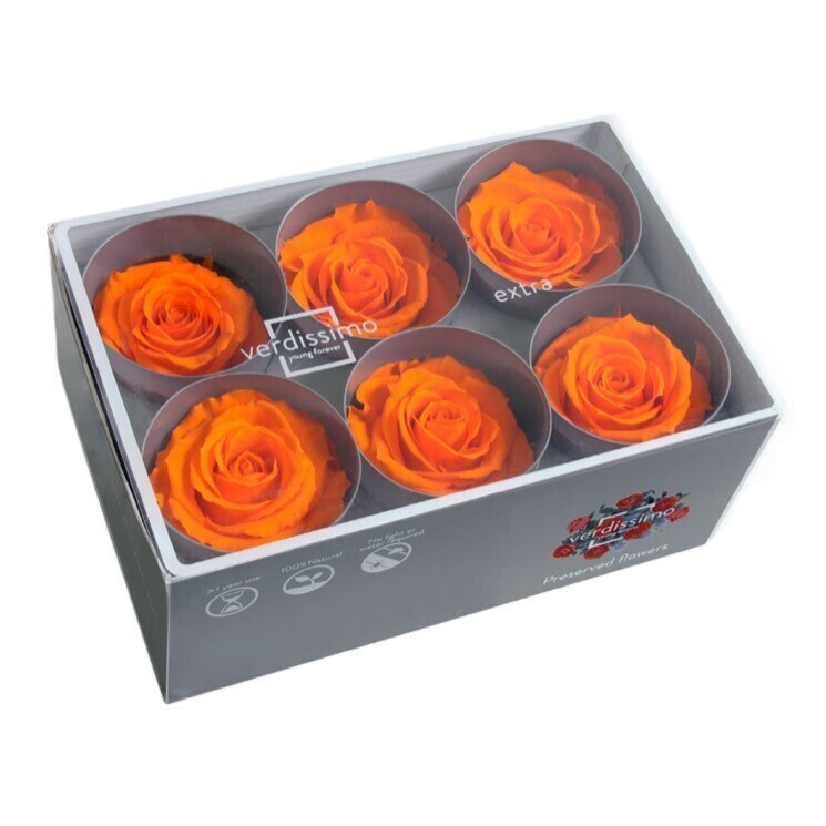 Бутоны розы стабилизированные "Оранж" 6шт /флористический материал/для создания букетов/  #1