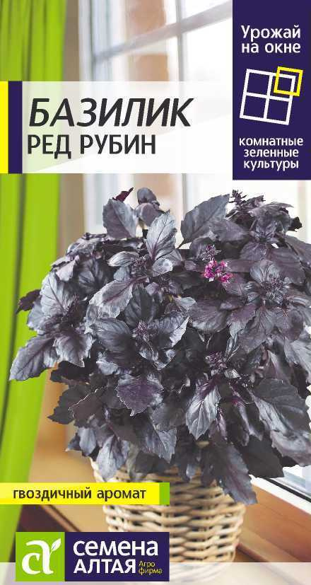 Семена Базилик Ред Рубин. Урожай на окне! Сильнейший аромат! Подходит для выращивания на балконе и в #1