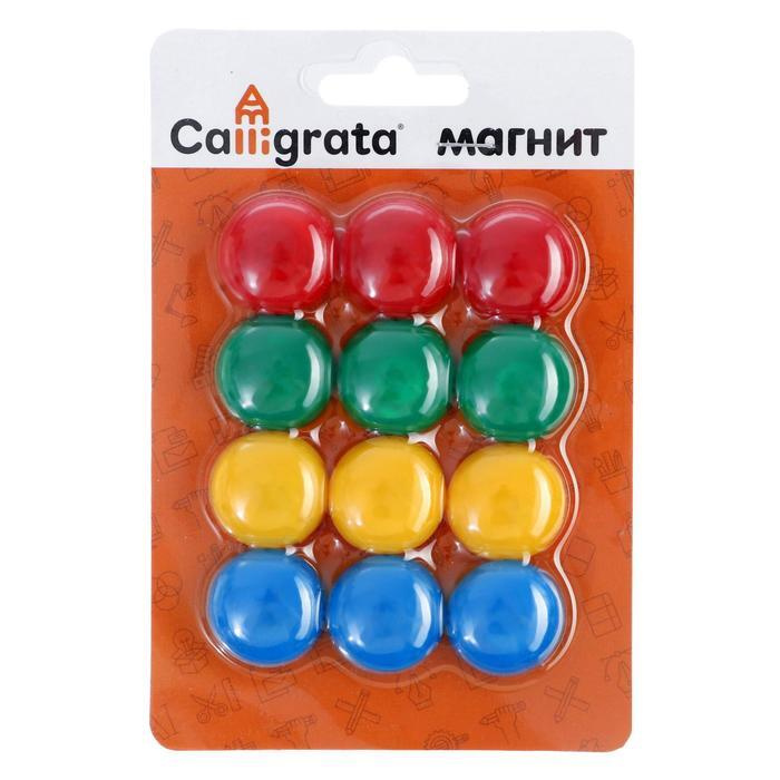 Набор магнитов для доски, набор 12 шт, d-2 см, разноцветные, на блистере  #1