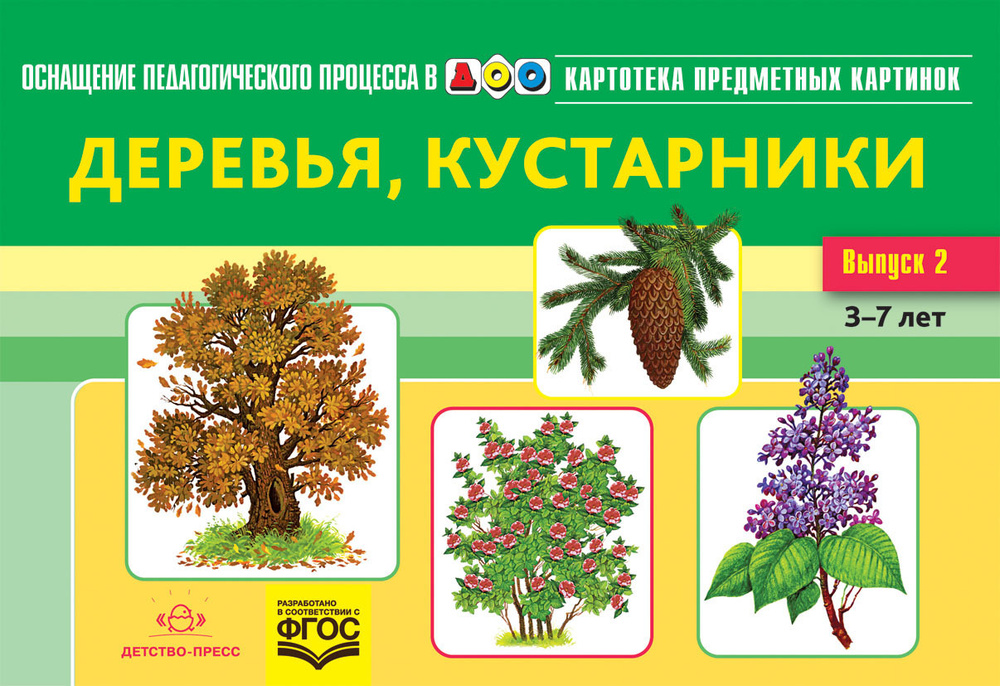 Картотека предметных картинок 02. Деревья, кустарники. 3-7 лет. ФГОС. Дидактический материал | Нищева #1