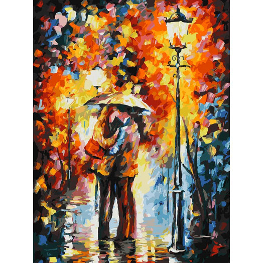 Картины по номерам на холсте с подрамником 30х40 / любовь / Поцелуй под дождем  #1