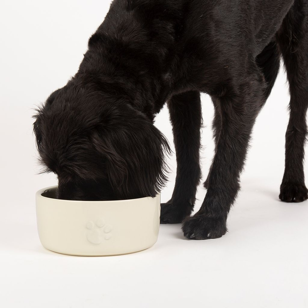 Миска керамическая для собак SCRUFFS "Icon Dog Food", кремовая, 25х25х10см, 3500мл (Великобритания)  #1