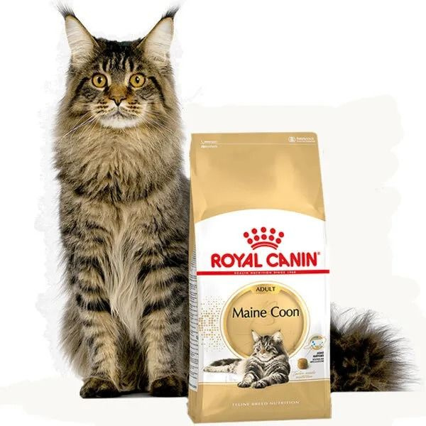 Корм Royal Canin MAINE COON Специальное питание для кошек породы мейнкун, а также для кошек крупных размеров: #1