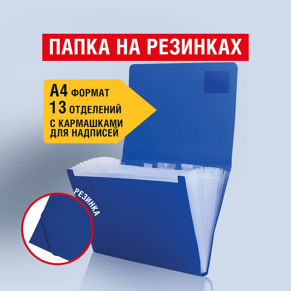 Папка на резинках для документов канцелярская пластиковая формата А4 "Business", 13 отделений, синяя, #1