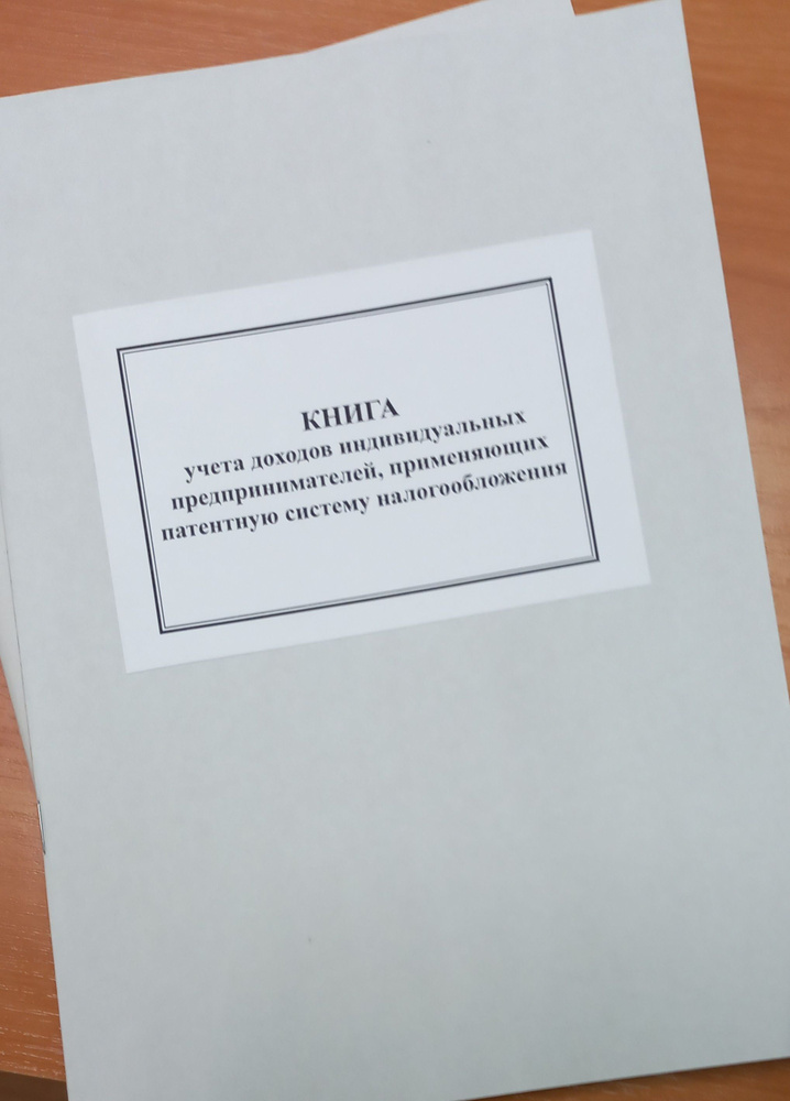 Книга учета Режевская типография A4 (21 × 29.7 см), листов: 50 #1