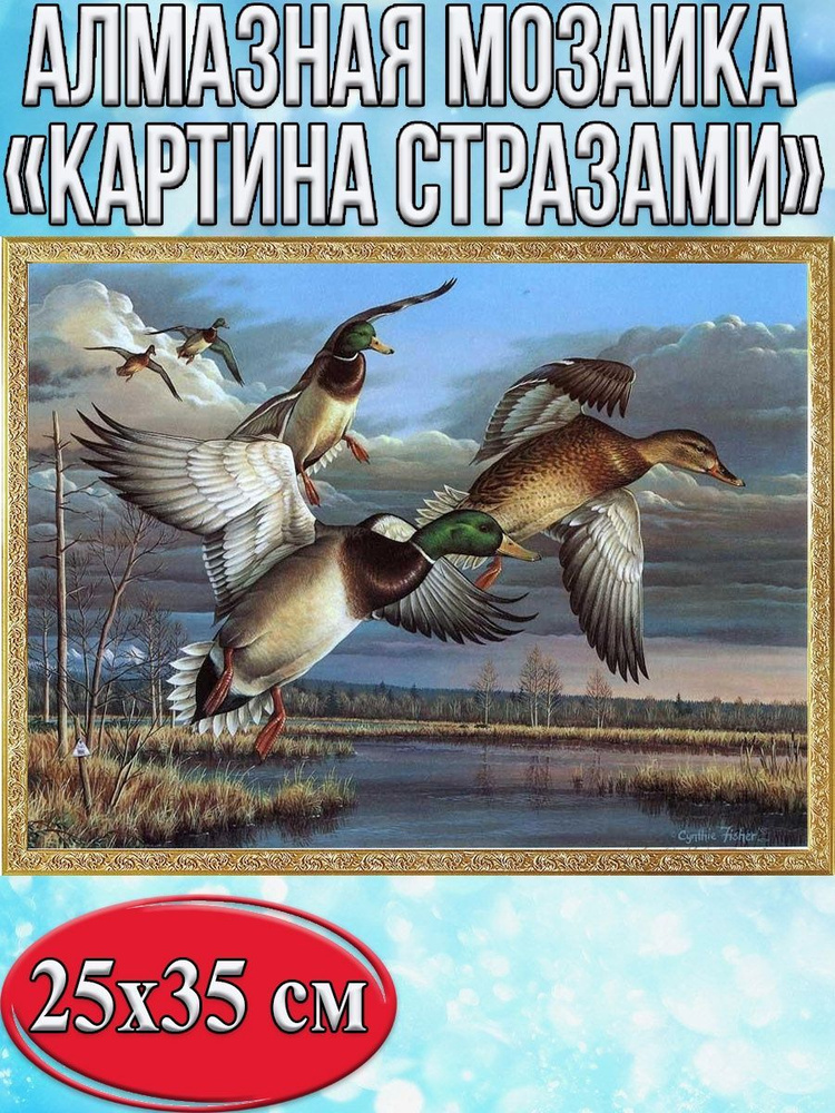 Алмазная мозаика со стразами Летящие утки/Выкладка полная/Размер холста 30х40 см/Размер картинки 25х35 #1