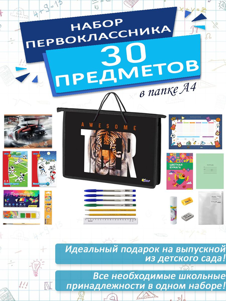 Набор школьника первоклассника канцелярский в папке А4, 30 предметов, для мальчиков  #1