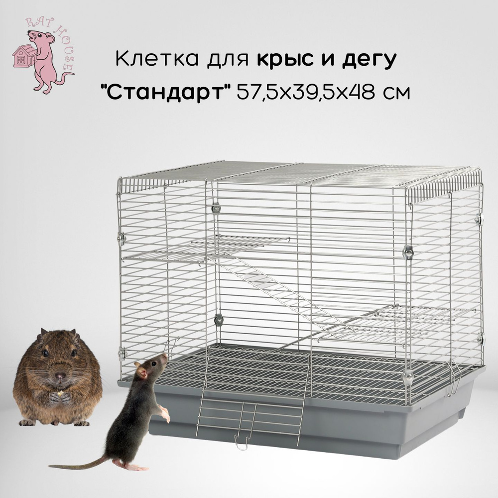 Rat House Клетка для Дегу и крыс "Стандарт" 57,5х39,5х48 см, серая  #1