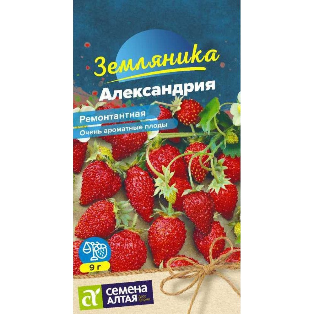 Семена Земляника Александрия ремонтантная (0,05 гр) - Семена Алтая  #1