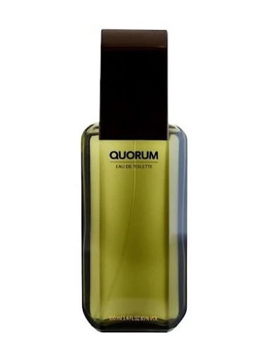 Antonio Puig Туалетная вода ANTONIO PUIG QUORUM edt MAN 100ml 100 мл #1