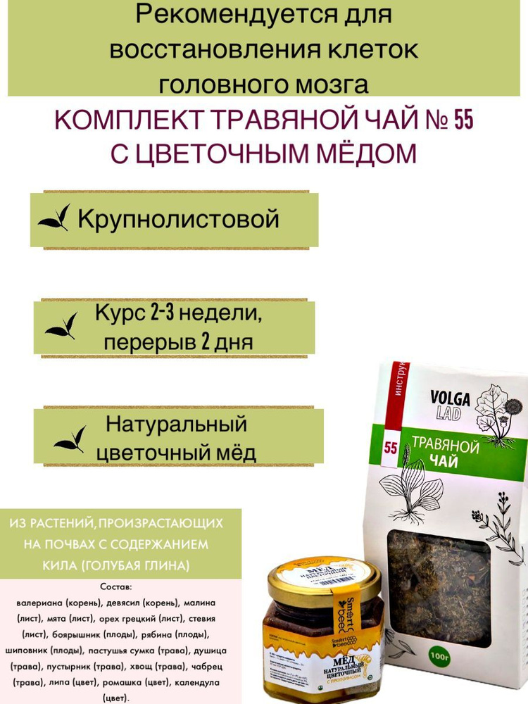 Травяной чай Волгаладь № 55 Восстановление клеток головного мозга с медом цветочным, лечебный комплект, #1