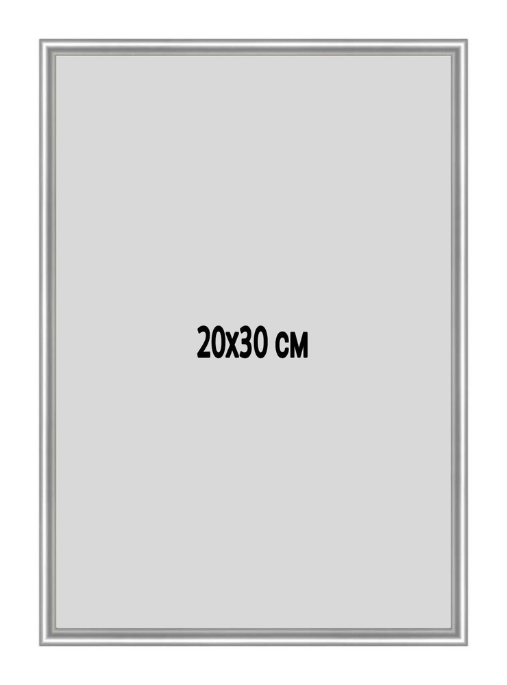 Фоторамка металлическая (алюминиевая) серебристая для постера,фотографии,картины 20х30 см. Рамка для #1