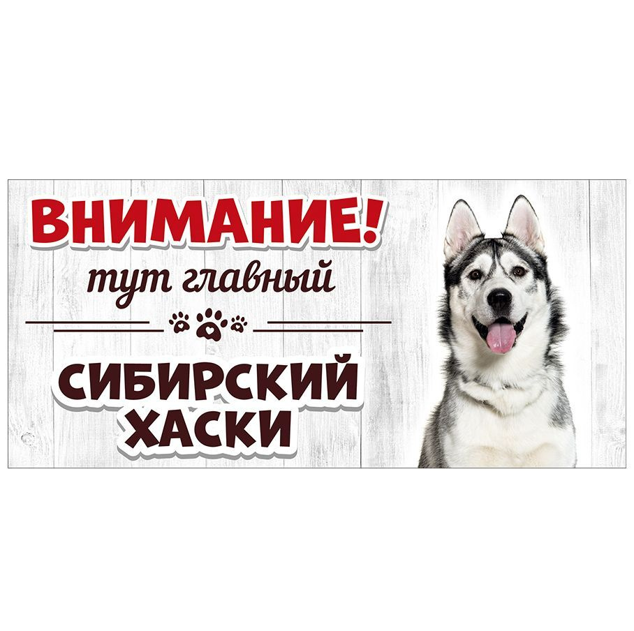 Табличка, Злая собака, Тут главный Сибирский хаски, на металлической основе, 30см х 14 см, на забор, #1