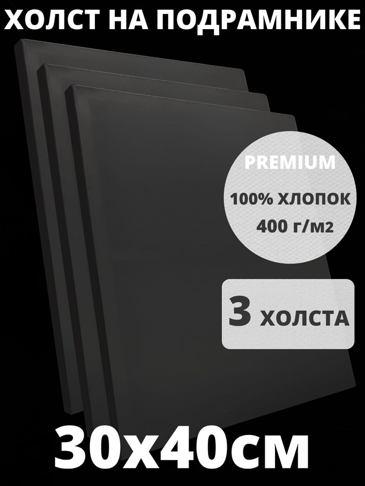 Холст на подрамнике грунтованный 30х40 см, плотность 400 г/м2 для рисования 3 шт  #1