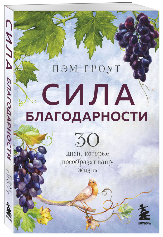 Сила благодарности. 30 дней, которые преобразят вашу жизнь | Гроут Пэм  #1