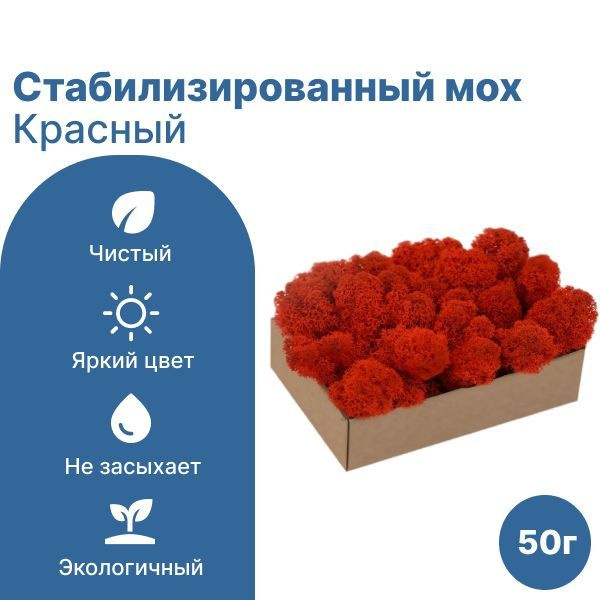 Сибирский Мох Стабилизированный мох Мох, 50 гр, 1 шт #1