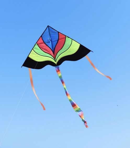 Большой воздушный змей "Самолет" для мальчиков и девочек, Управляемый летучий змей с катушкой 30 м, Игры #1