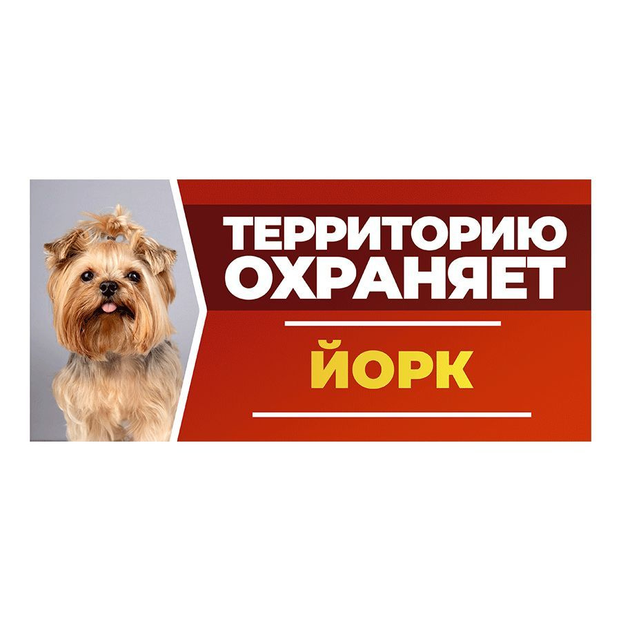 Табличка, DANGER DOG, Йорк, на забор, 30см х 14см #1