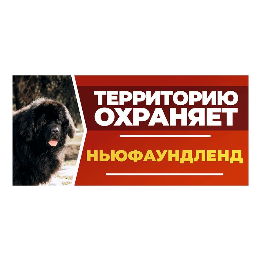 Табличка, DANGER DOG, Ньюфаундленд, на забор, 30см х 14см #1