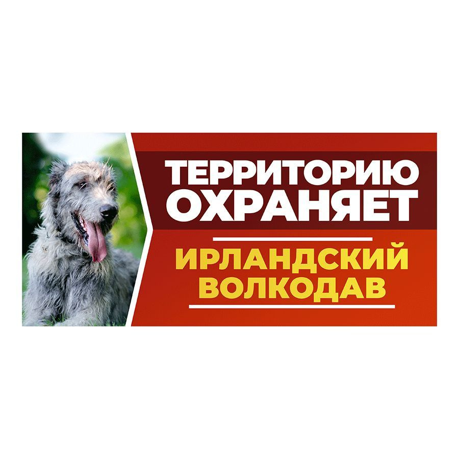 Табличка, DANGER DOG, Ирландский волкодав, на забор, 30см х 14см  #1