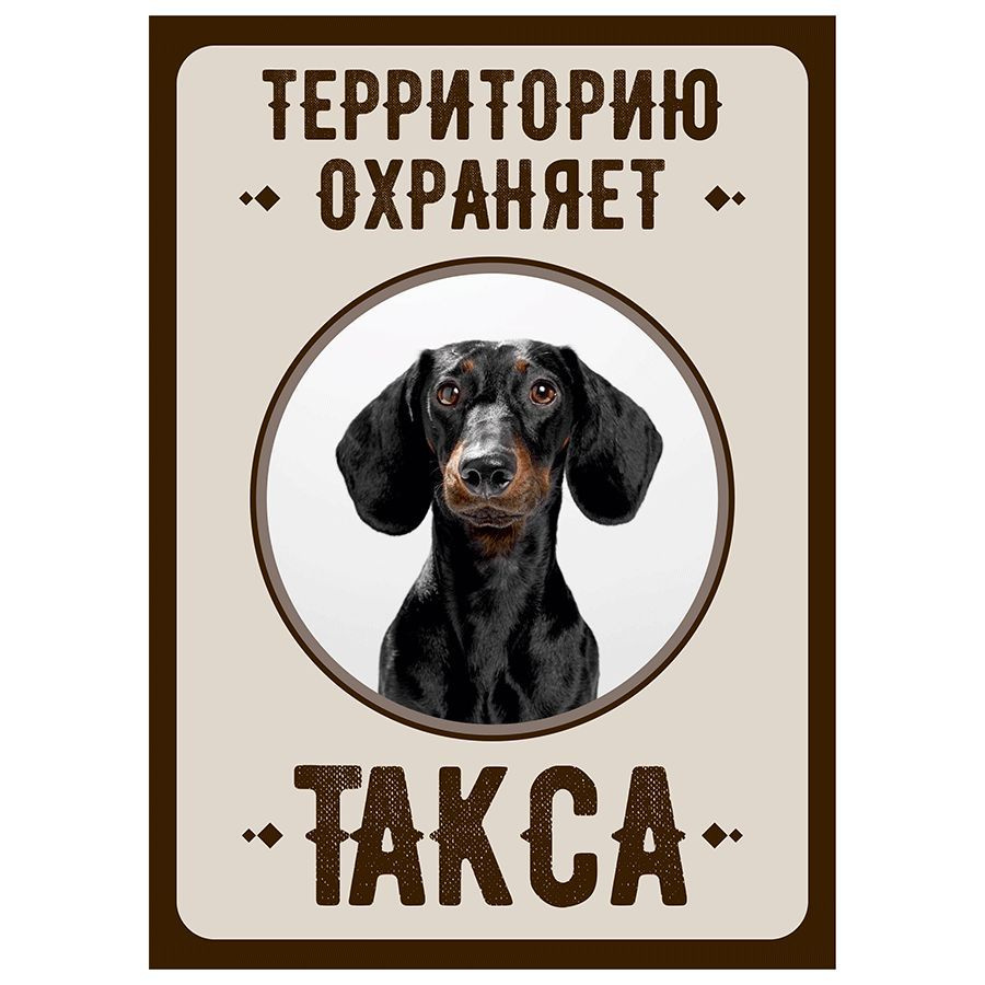Табличка, Злая собака, Территорию охраняет Такса, на металлической основе, 18см х 25 см, на забор, на #1