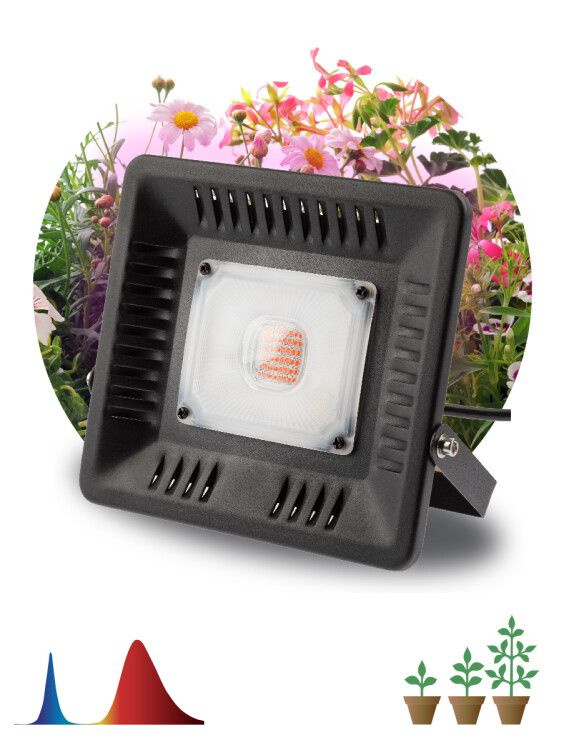 Фитопрожектор для растений светодиодный ЭРА FITO-50W-LED-BLUERED для цветения и плодоношения красно-синего #1