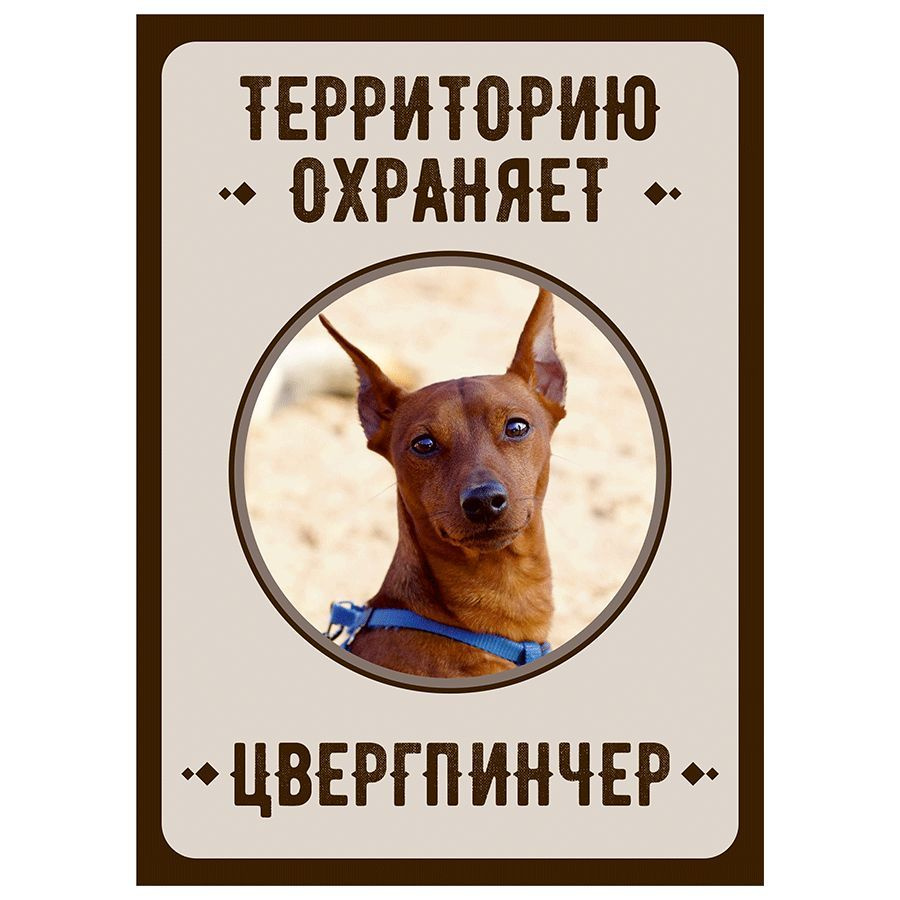 Табличка, Злая собака, Территорию охраняет Цвергпинчер, на металлической основе, 18см х 25 см, на забор, #1