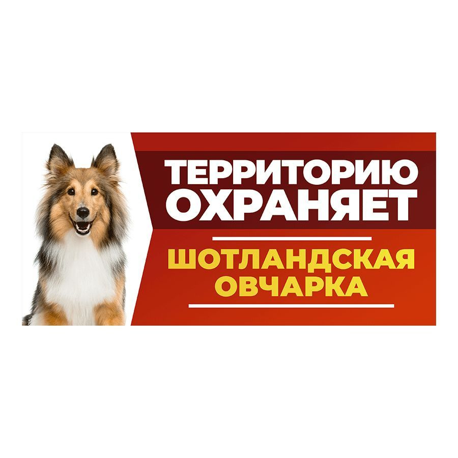 Табличка, DANGER DOG, Шотландская овчарка, на забор, 30см х 14см  #1