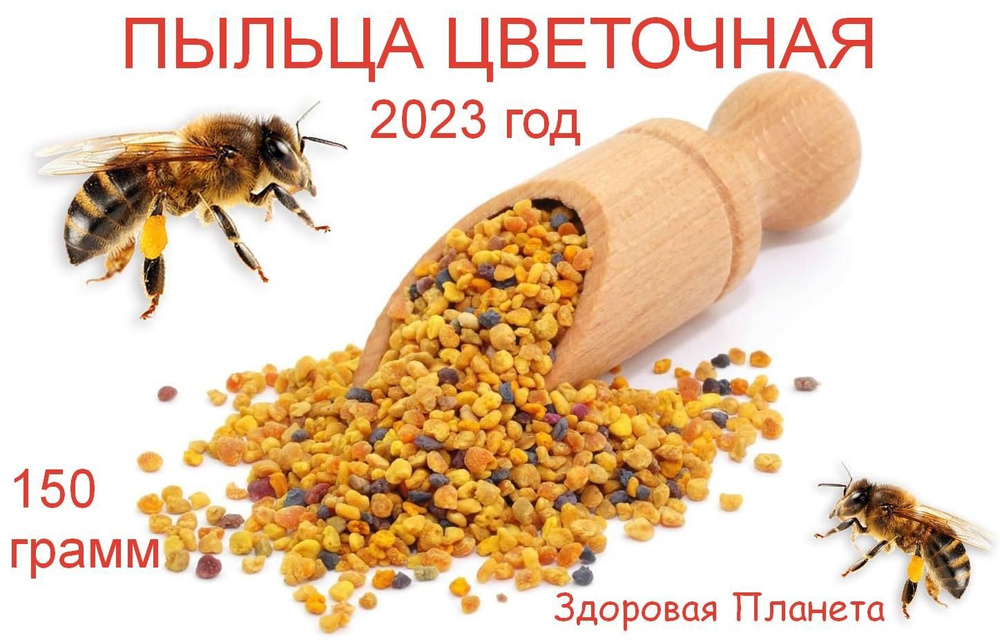 Пыльца пчелиная цветочная 2023 год 150 грамм #1