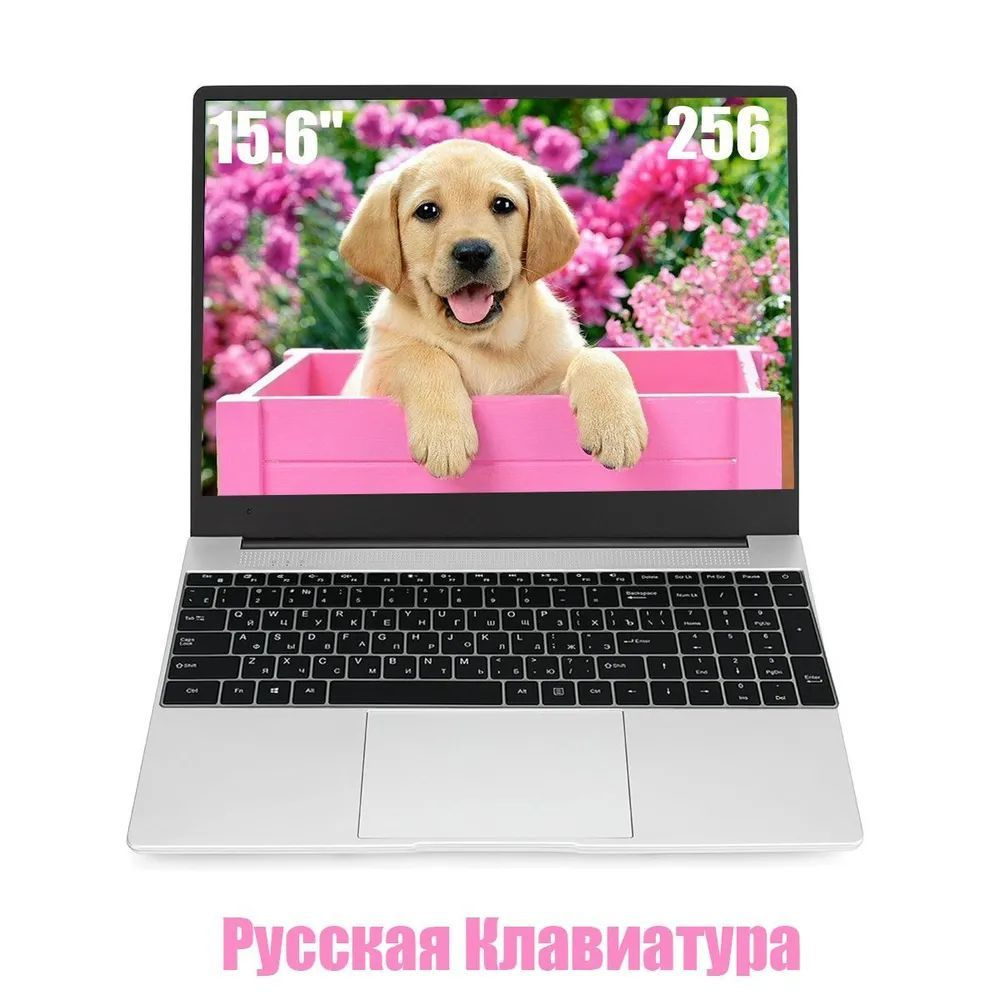 OEM NT26 Ноутбук 15.6", RAM 8 ГБ, SSD 256 ГБ, Intel UHD Graphics 600, Windows Pro, серебристый, Русская #1