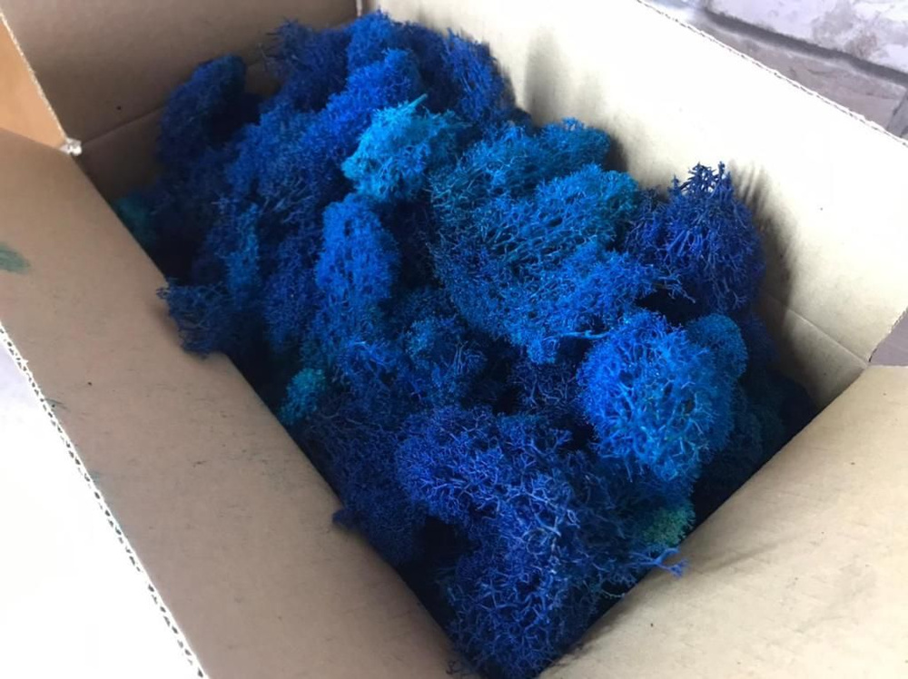 Мох стабилизированный цвет голубой 0,5 кг для флористики, рукоделия, декора  #1