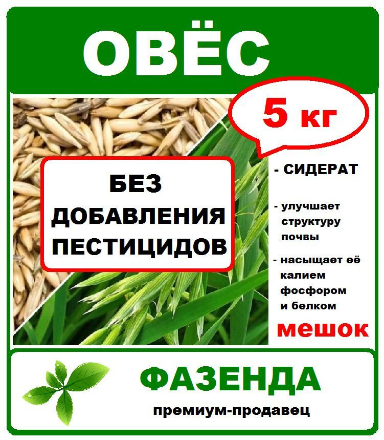 Овес семена 5 кг. (мешок) Сидерат, улучшитель почвы. Без добавления пестицидов. Фазенда Сибири  #1