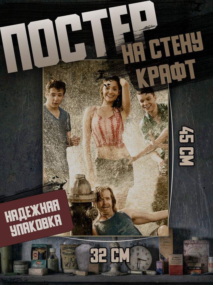 Постер 32х45 сериал Бесстыжие #1