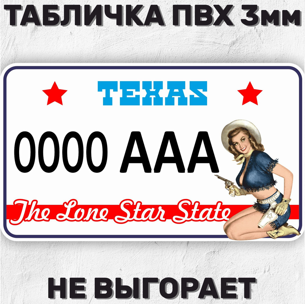 Сувенирный номер на машину / мотоцикл Texas USA Техас США 29х17 см  #1