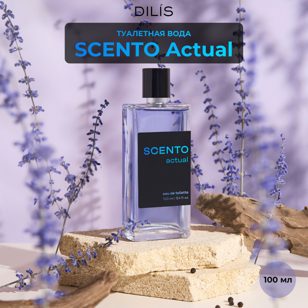 DILIS Туалетная вода мужская Scento Actual 100 мл #1