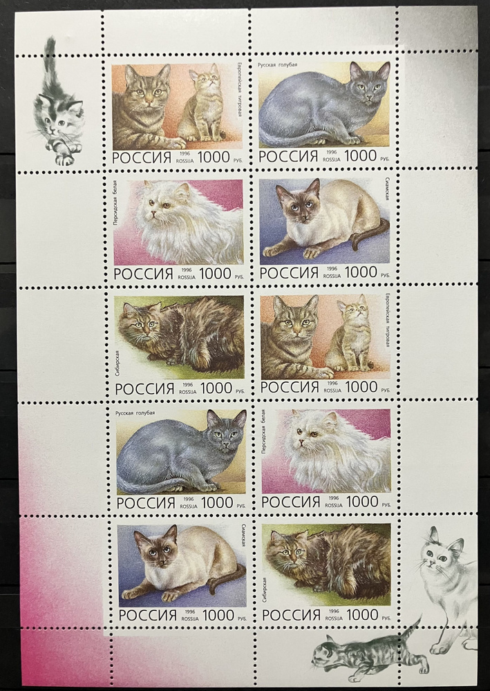 Россия 1996, Фауна. Кошки #1