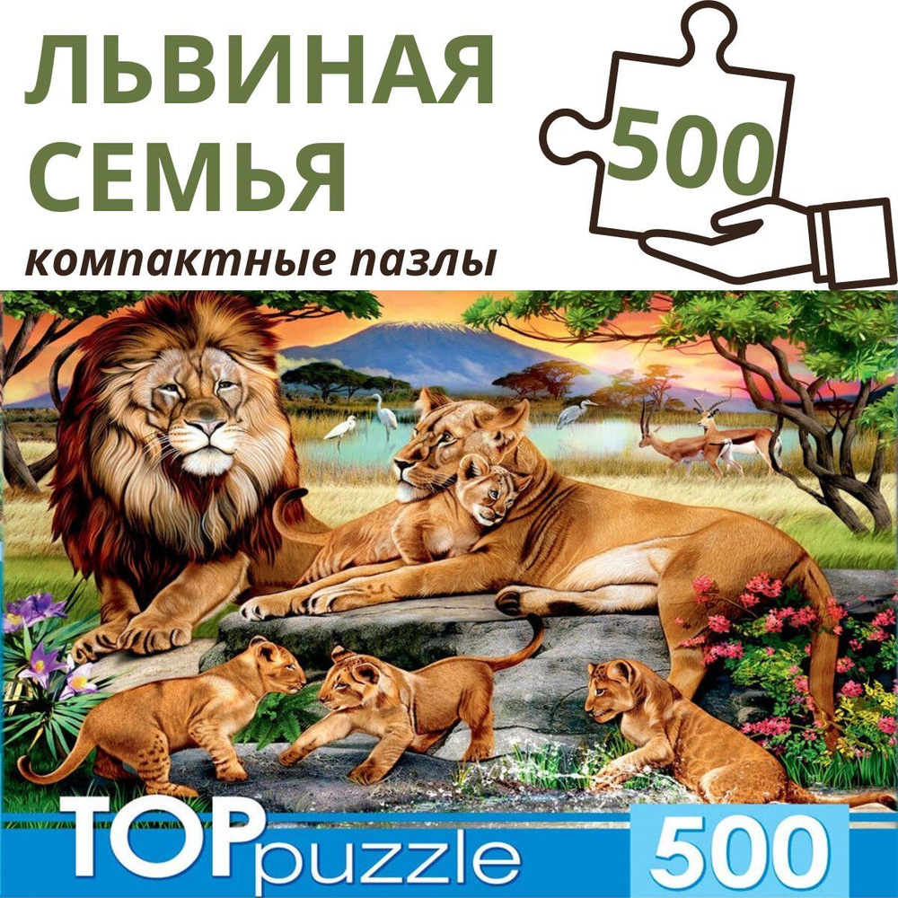 Пазл Рыжий кот TOPpuzzle 