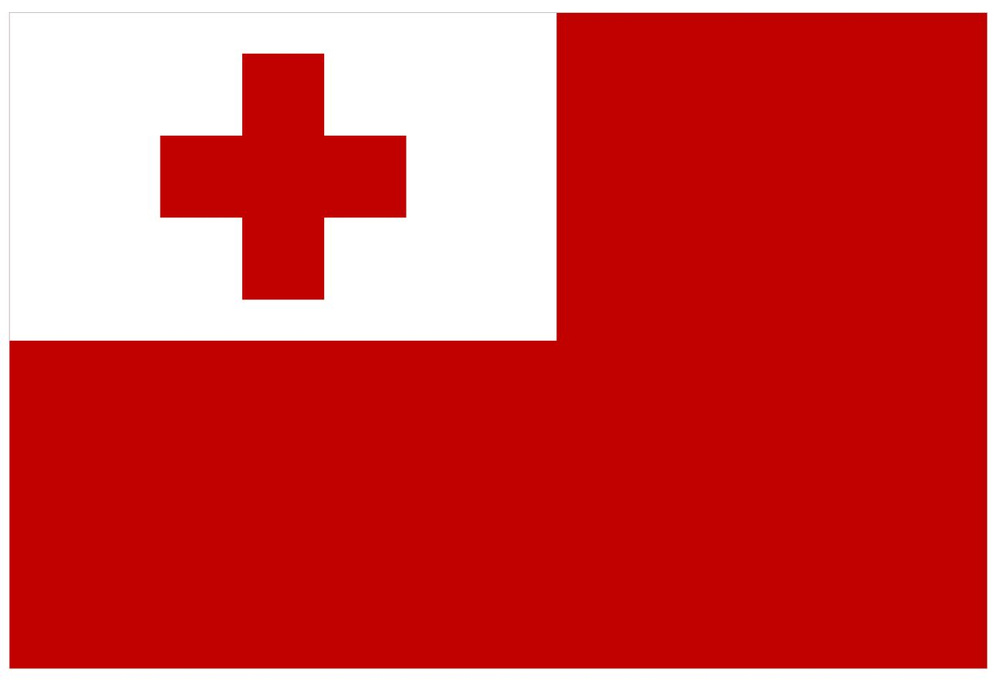 Двусторонний флаг Тонга 40х60 см на лодку, катер или яхту с люверсами  #1