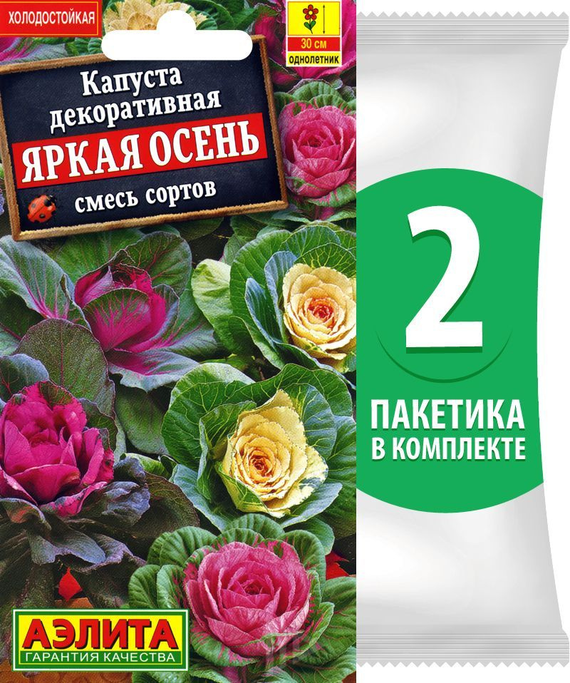 Семена Капуста декоративная Яркая Осень смесь сортов, 2 пакетика по 0,1г/30шт  #1