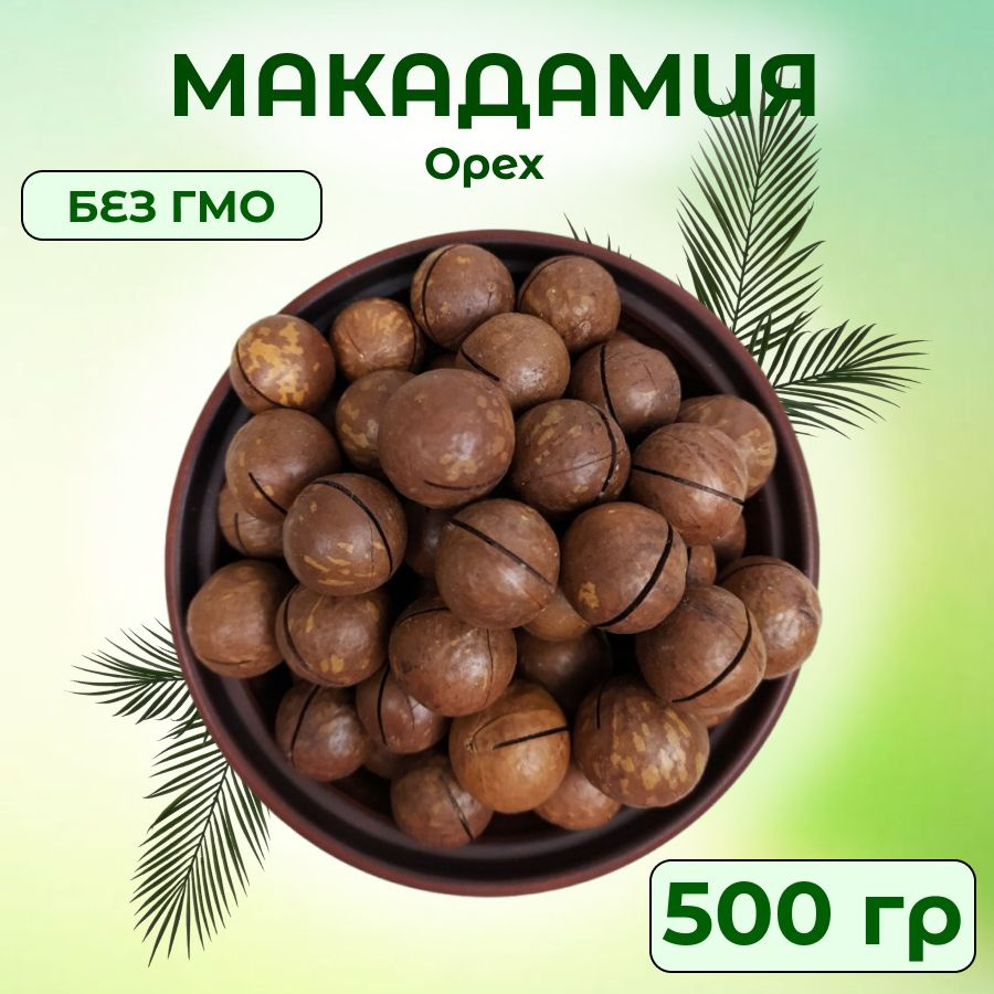 Макадамия орех в скорлупе с ключом, 500 гр #1