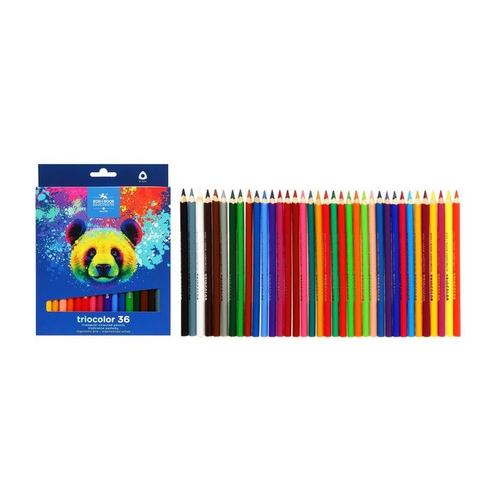 Карандаши Jumbo 36 цветов K-I-N 3145 Triocolor bear, утолщенные, трехгранные  #1