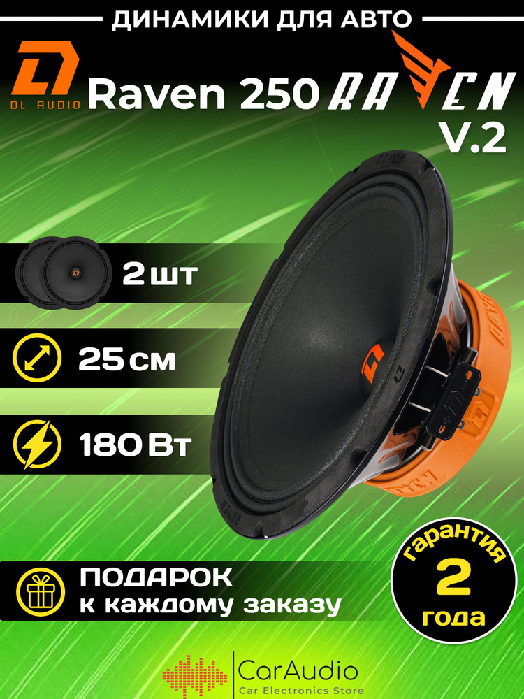 Колонки автомобильные DL Audio Raven 250 v.2 / эстрадная акустика 25 см. (10 дюймов) / комплект 2 шт. #1