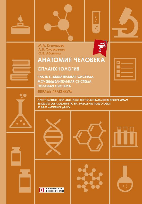 Анатомия человека. Спланхнология. Ч. 5: Дыхательная система. Мочевыделительная система. Половая система: #1